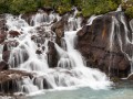 IMG_3891.jpg